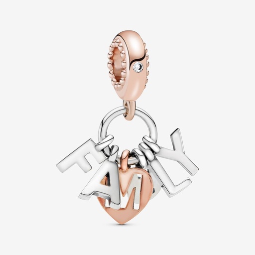 [787785CZ] Charm Colgante Familia